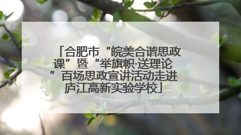 合肥市“皖美合谐思政课”暨“举旗帜·送理论”百场思政宣讲活动走进庐江高新实验学校