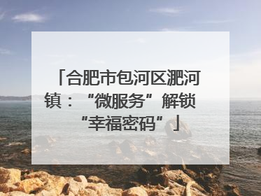 合肥市包河区淝河镇：“微服务”解锁“幸福密码”