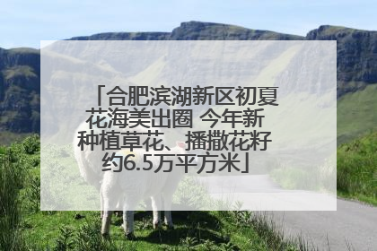 合肥滨湖新区初夏花海美出圈 今年新种植草花、播撒花籽约6.5万平方米