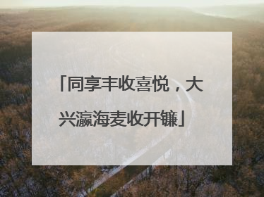 同享丰收喜悦，大兴瀛海麦收开镰