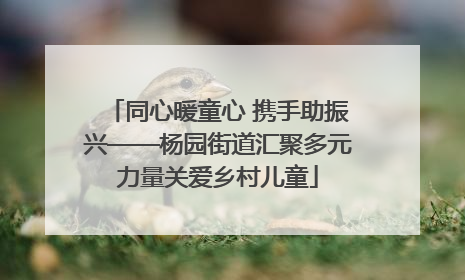 同心暖童心 携手助振兴——杨园街道汇聚多元力量关爱乡村儿童