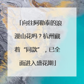 向往阿勒泰的浪漫山花吗？杭州藏着“同款”，已全面进入盛花期