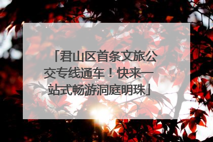君山区首条文旅公交专线通车！快来一站式畅游洞庭明珠