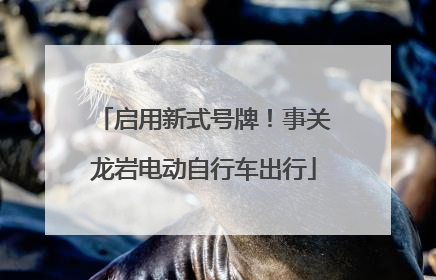 启用新式号牌！事关龙岩电动自行车出行