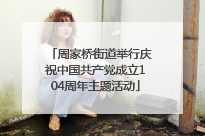 周家桥街道举行庆祝中国共产党成立104周年主题活动