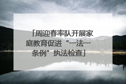 周迎春率队开展家庭教育促进“一法一条例”执法检查
