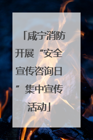 咸宁消防开展“安全宣传咨询日”集中宣传活动