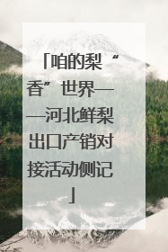 咱的梨“香”世界——河北鲜梨出口产销对接活动侧记