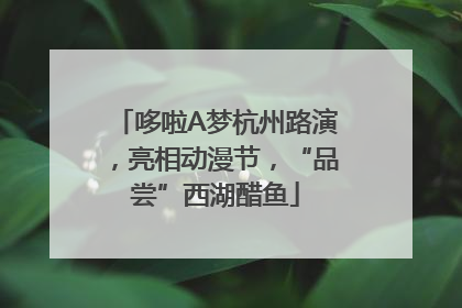哆啦A梦杭州路演，亮相动漫节，“品尝”西湖醋鱼