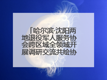 哈尔滨·沈阳两地退役军人服务协会跨区域全领域开展调研交流共绘协同发展