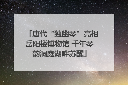 唐代“独幽琴”亮相岳阳楼博物馆 千年琴韵洞庭湖畔苏醒