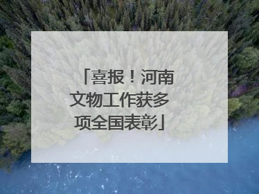 喜报！河南文物工作获多项全国表彰
