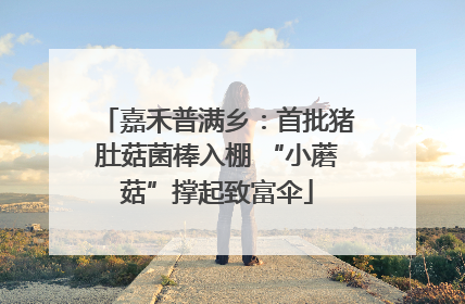 嘉禾普满乡：首批猪肚菇菌棒入棚 “小蘑菇”撑起致富伞
