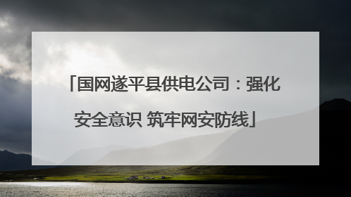 国网遂平县供电公司：强化安全意识 筑牢网安防线
