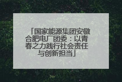 国家能源集团安徽合肥电厂团委：以青春之力践行社会责任与创新担当