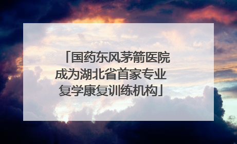 国药东风茅箭医院成为湖北省首家专业复学康复训练机构