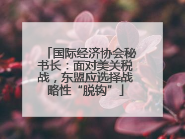 国际经济协会秘书长：面对美关税战，东盟应选择战略性“脱钩”