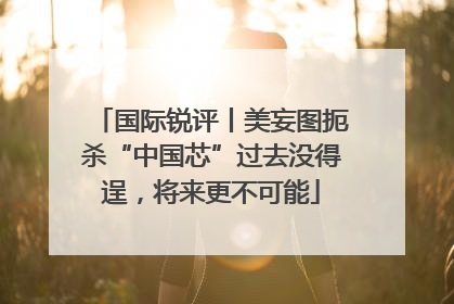 国际锐评丨美妄图扼杀“中国芯”过去没得逞，将来更不可能