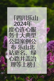 四川乐山2024年度心连心服务十大典型公益案例公布 乐山北站更名、绿心路井盖治理等上榜