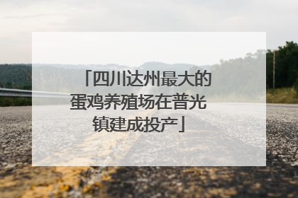 四川达州最大的蛋鸡养殖场在普光镇建成投产