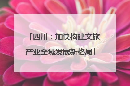 四川：加快构建文旅产业全域发展新格局