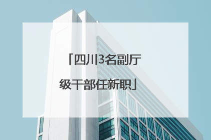 四川3名副厅级干部任新职