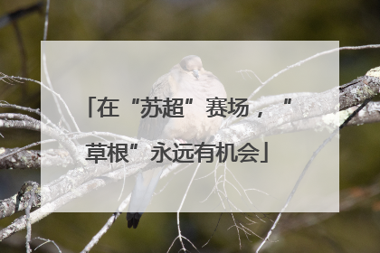 在“苏超”赛场，“草根”永远有机会