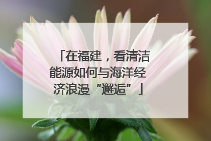 在福建，看清洁能源如何与海洋经济浪漫“邂逅”