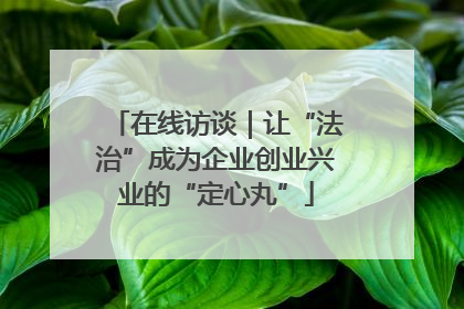 在线访谈｜让“法治”成为企业创业兴业的“定心丸”