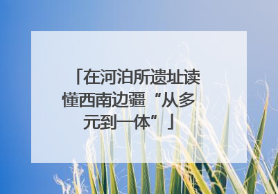 在河泊所遗址读懂西南边疆“从多元到一体”