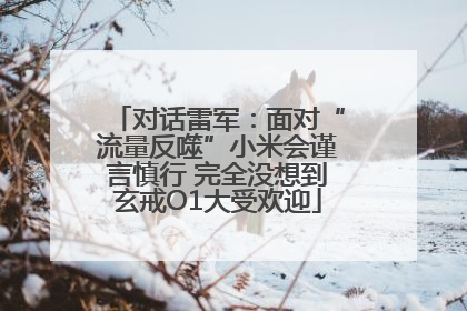 对话雷军：面对“流量反噬”小米会谨言慎行 完全没想到玄戒O1大受欢迎