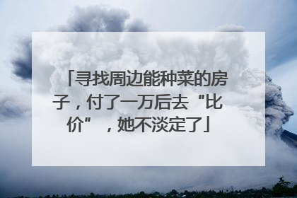 寻找周边能种菜的房子，付了一万后去“比价”，她不淡定了