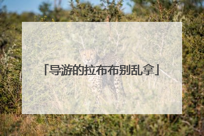 导游的拉布布别乱拿