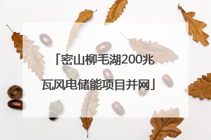 密山柳毛湖200兆瓦风电储能项目并网