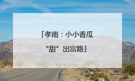 孝南：小小香瓜 “甜”出富路