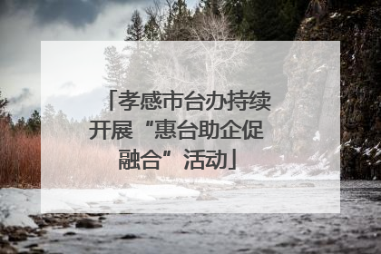 孝感市台办持续开展“惠台助企促融合”活动