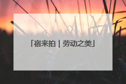 宿来拍｜劳动之美