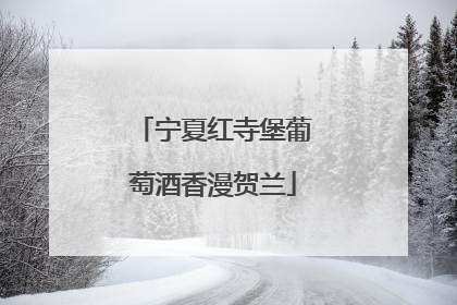 宁夏红寺堡葡萄酒香漫贺兰