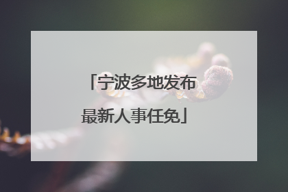 宁波多地发布最新人事任免