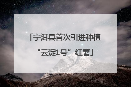 宁洱县首次引进种植“云淀1号”红薯