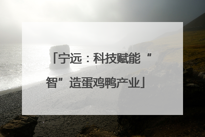 宁远：科技赋能“智”造蛋鸡鸭产业