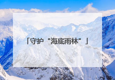 守护“海底雨林”