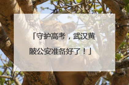 守护高考，武汉黄陂公安准备好了！