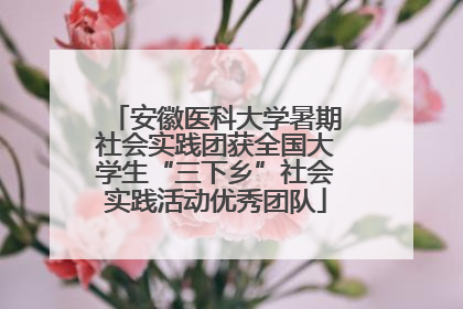 安徽医科大学暑期社会实践团获全国大学生“三下乡”社会实践活动优秀团队