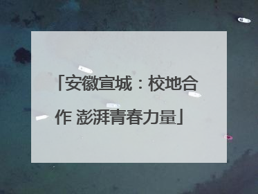 安徽宣城：校地合作 澎湃青春力量