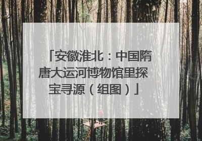 安徽淮北：中国隋唐大运河博物馆里探宝寻源（组图）