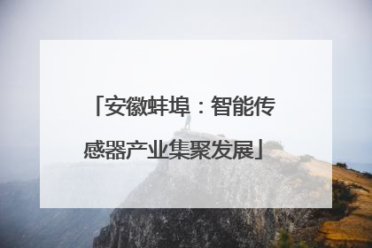 安徽蚌埠：智能传感器产业集聚发展