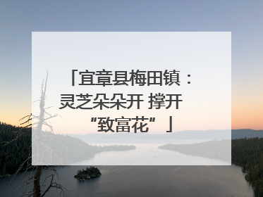 宜章县梅田镇：灵芝朵朵开 撑开“致富花”