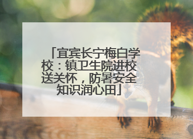 宜宾长宁梅白学校：镇卫生院进校送关怀，防暑安全知识润心田