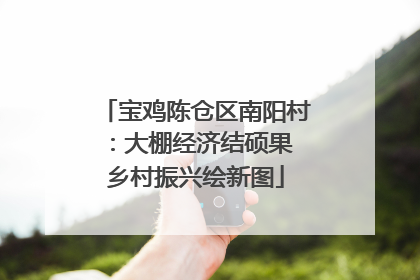 宝鸡陈仓区南阳村：大棚经济结硕果 乡村振兴绘新图